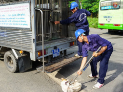 Ảnh bìa bài viết 566198