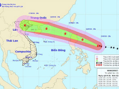Ảnh bìa bài viết 566482