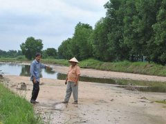 Ảnh bìa bài viết 566520