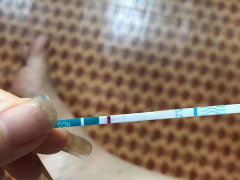 Ảnh bìa bài viết 566782