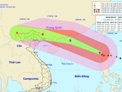 Ảnh bìa bài viết 566902