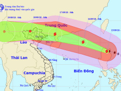Ảnh bìa bài viết 566818
