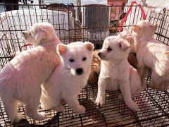 Ảnh bìa bài viết 567095