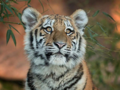 Ảnh bìa bài viết 567133