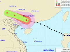 Ảnh bìa bài viết 567102