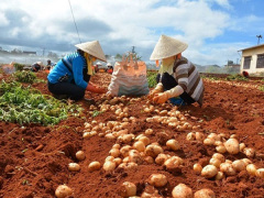 Ảnh bìa bài viết 567448