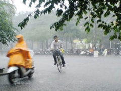 Ảnh bìa bài viết 567339