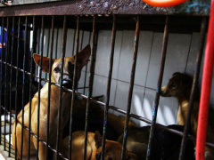 Ảnh bìa bài viết 567532