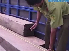 Ảnh bìa bài viết 568117