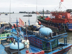 Ảnh bìa bài viết 568072