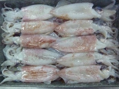 Ảnh bìa bài viết 568294