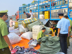 Ảnh bìa bài viết 567974