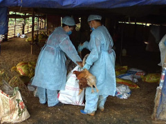 Ảnh bìa bài viết 568582