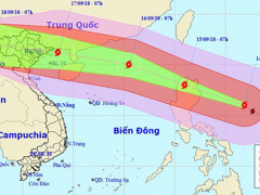 Ảnh bìa bài viết 568434