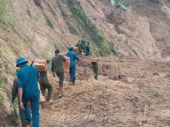 Ảnh bìa bài viết 568505
