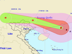 Ảnh bìa bài viết 568405
