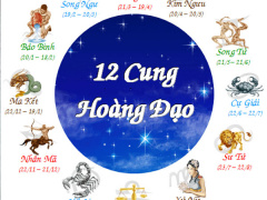 Ảnh bìa bài viết 568506