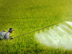 Ảnh bìa bài viết 568519