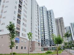 Ảnh bìa bài viết 568620