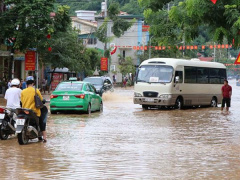 Ảnh bìa bài viết 568779