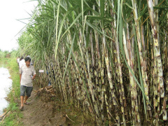 Ảnh bìa bài viết 568785