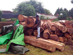 Ảnh bìa bài viết 568961