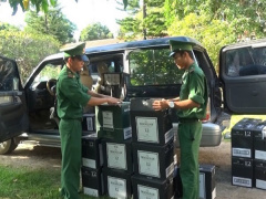 Ảnh bìa bài viết 568852