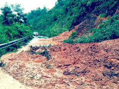 Ảnh bìa bài viết 569301