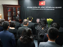 Ảnh bìa bài viết 569362