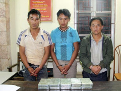 Ảnh bìa bài viết 569686
