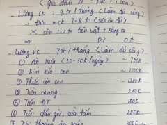 Ảnh bìa bài viết 569736