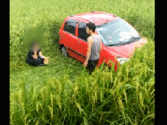 Ảnh bìa bài viết 569666