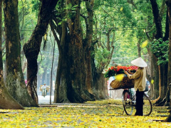 Ảnh bìa bài viết 569841