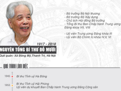 Ảnh bìa bài viết 570420
