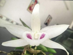 Ảnh bìa bài viết 570745