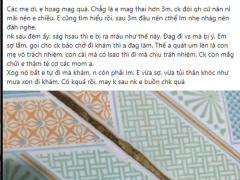Ảnh bìa bài viết 571013
