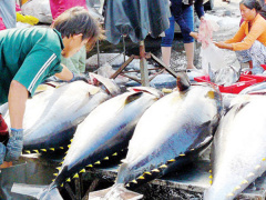 Ảnh bìa bài viết 571188