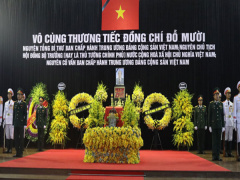 Ảnh bìa bài viết 571371