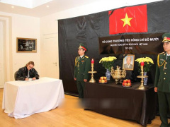 Ảnh bìa bài viết 571421