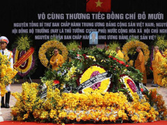 Ảnh bìa bài viết 571517