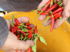 Ảnh bìa bài viết 571774