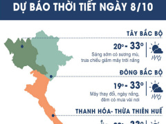 Ảnh bìa bài viết 571612