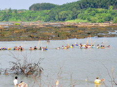 Ảnh bìa bài viết 571741