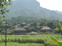 Ảnh bìa bài viết 572072