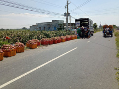 Ảnh bìa bài viết 571867