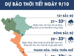 Ảnh bìa bài viết 571858