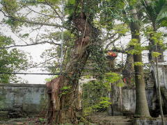 Ảnh bìa bài viết 572139