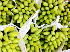 Ảnh bìa bài viết 572141