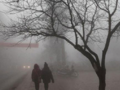 Ảnh bìa bài viết 572333