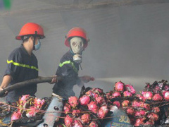 Ảnh bìa bài viết 572436